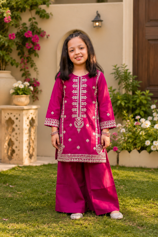 ✨ Elegent printed 2 piece suit ✨